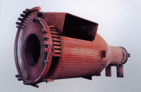 Separatore per cicloni industriali SAT-CHAM per caldaie a biogas delle centrali elettriche